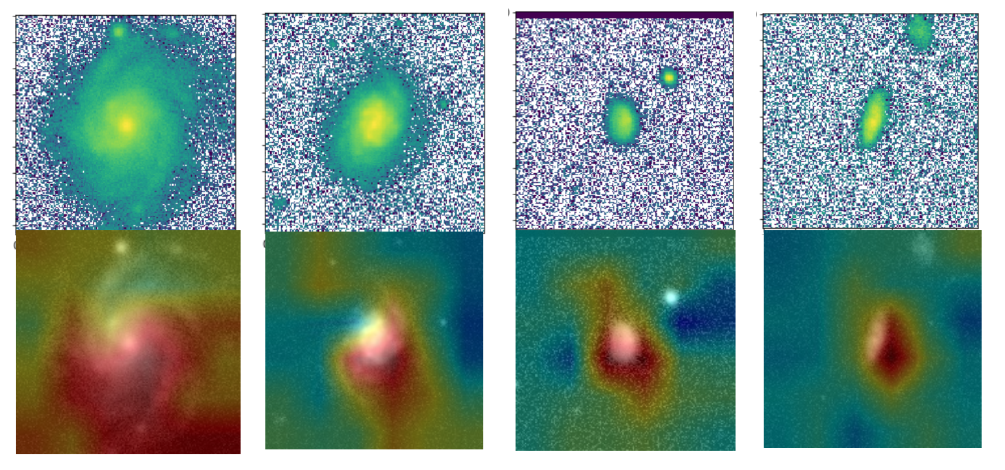 Heatmaps of class activation applied to four different galaxies
									showing regions that are heavily used by GaMorNet in its decision making
									process