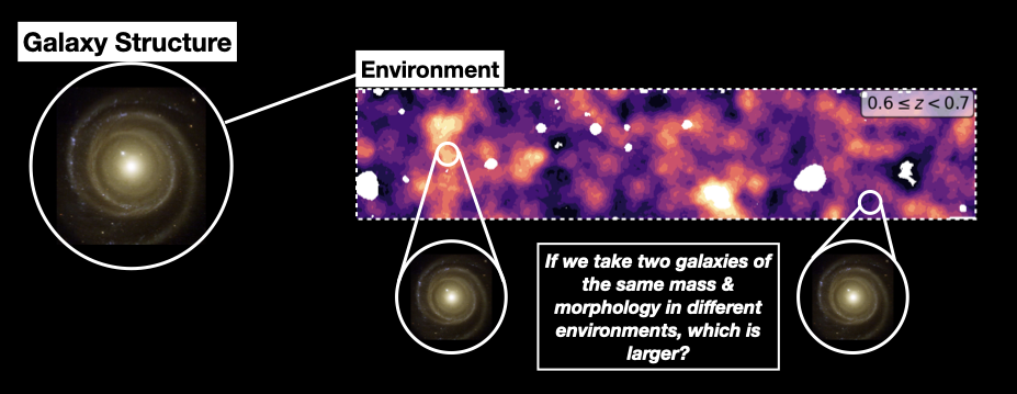 Image
									depicting the main question of the paper -- If we take two galaxies of 
									the same mass and morphology in different environments, which is larger?