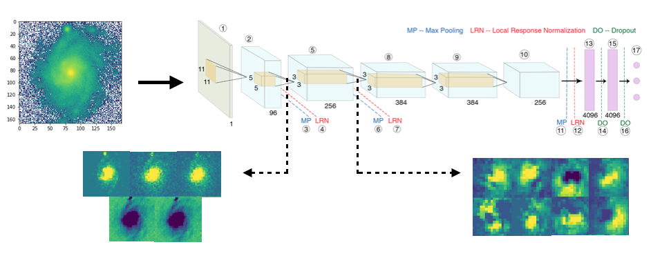 Visualizing the intermediate activation outputs from the 
									different layers shown for a case when a spiral galaxy is fed
									into GaMorNet